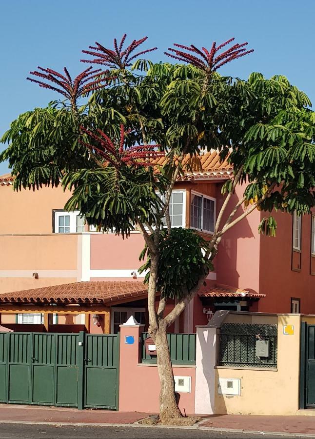 Rosas By Villas Rinamar Las Rosas  Bagian luar foto